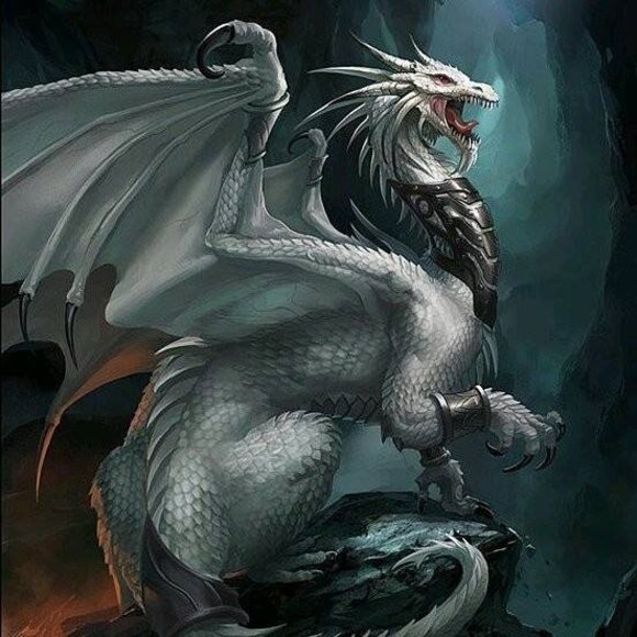 adragonwolf